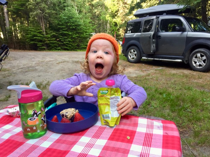 2QG+U2wHS5yaHFc2bP6MGg_thumb_c34b