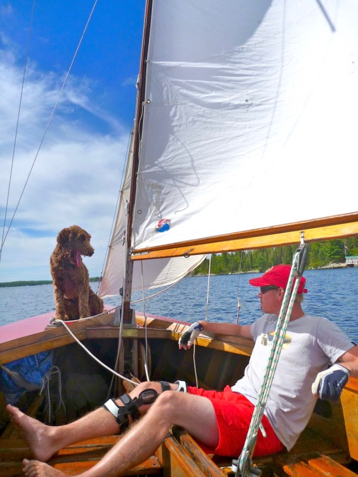 8FEvD%xyQWurHsH1k25fwA_thumb_59e9