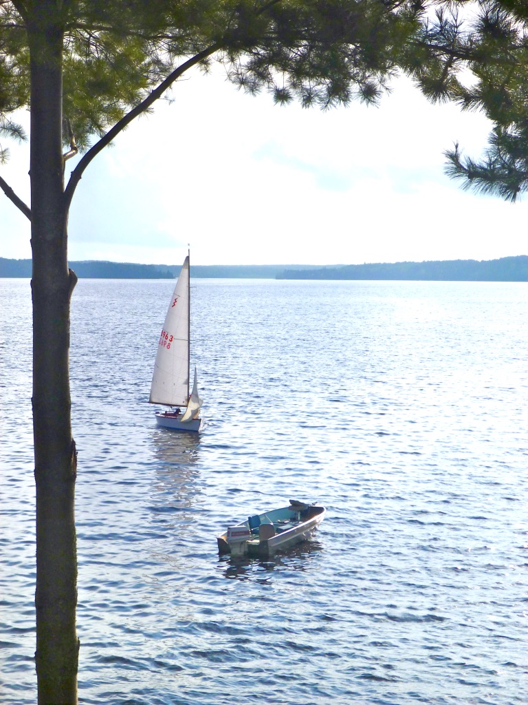 BtXb3Bg3TO+pP4+NDr2_thumb_596f