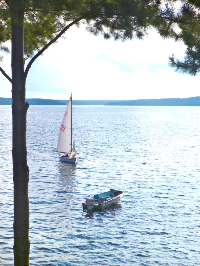 BtXb3Bg3TO+pP4+NDr2_thumb_596f