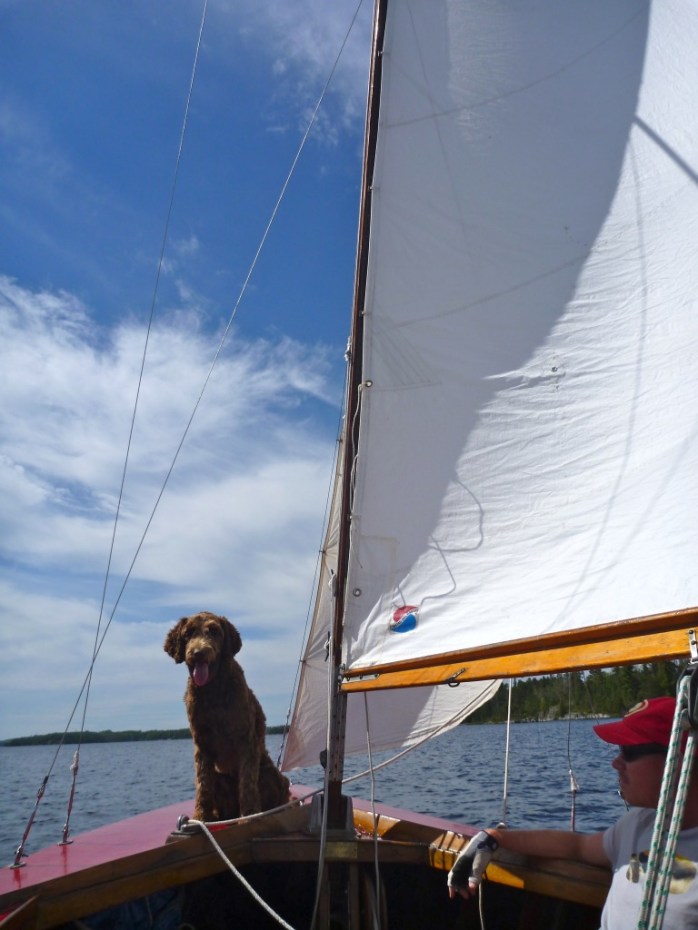 fVuVlvcpRGKY9jz%1JSCeg_thumb_59eb