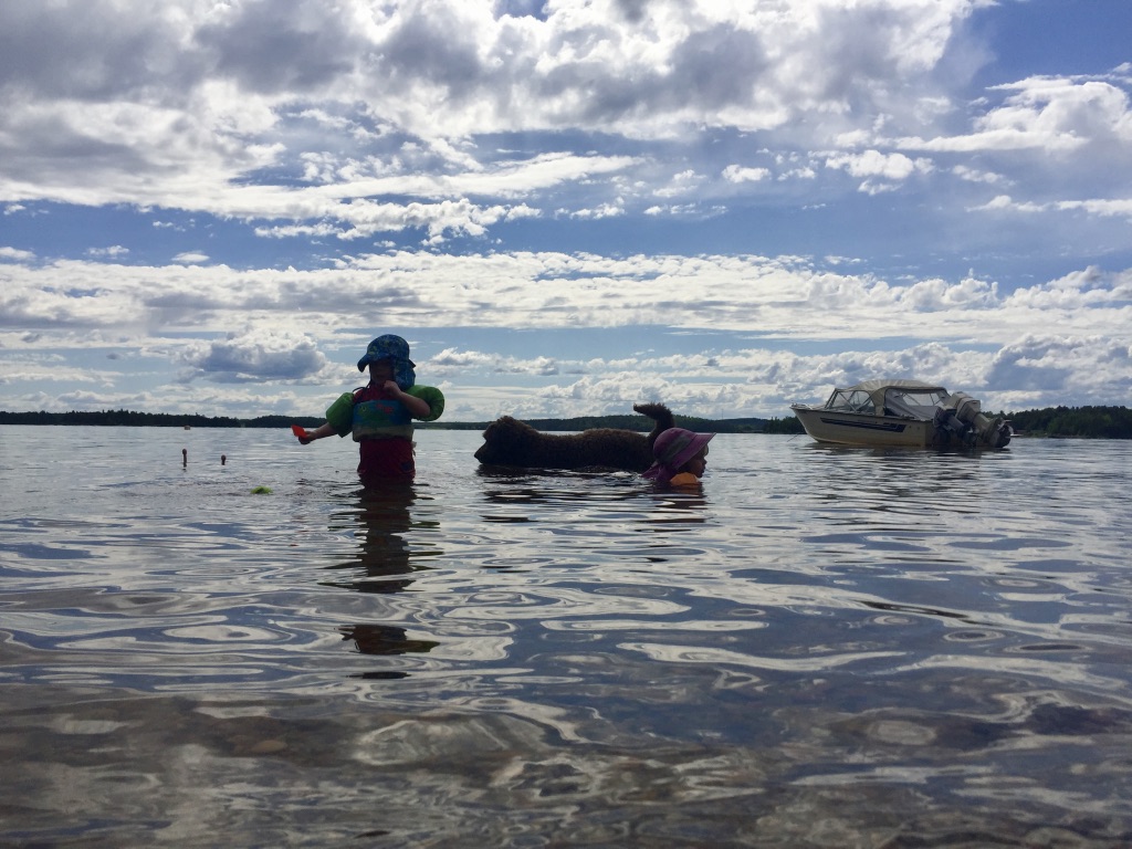 OK91EfR5TAqEJwlYzAeJ1w_thumb_c316