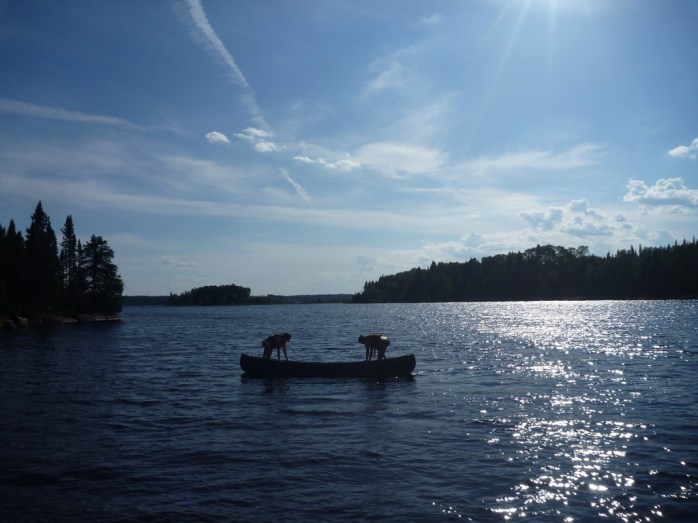 UNADJUSTEDNONRAW_thumb_c58d