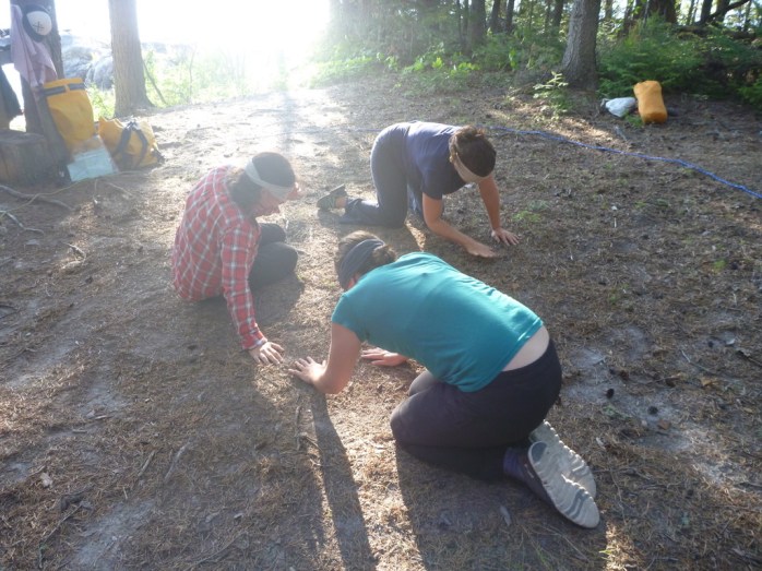 UNADJUSTEDNONRAW_thumb_c593