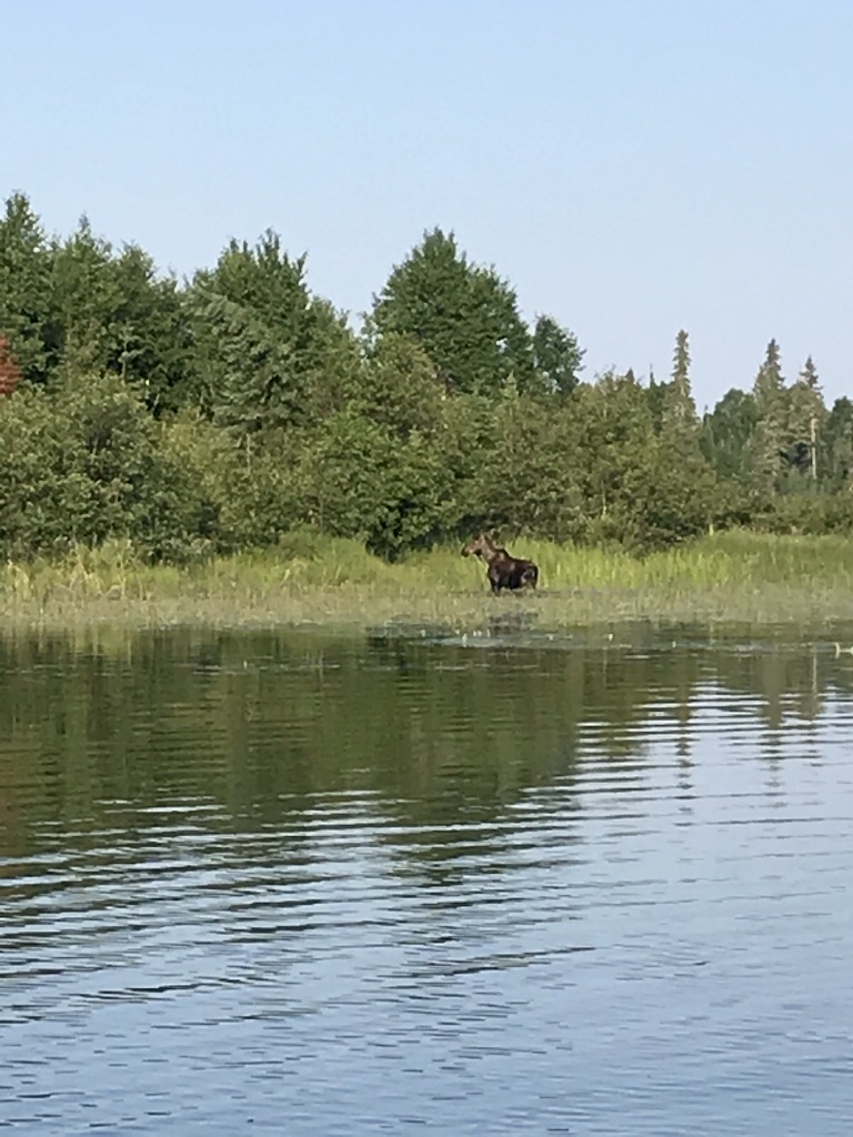 UNADJUSTEDNONRAW_thumb_c665