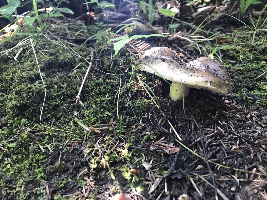 UNADJUSTEDNONRAW_thumb_c6f2