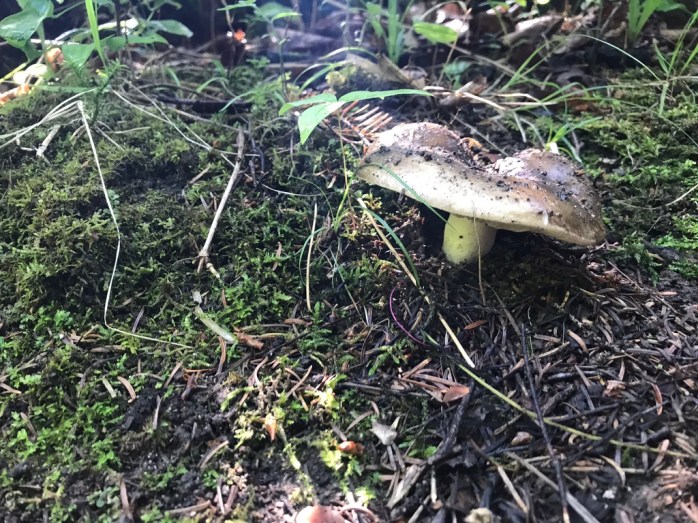 UNADJUSTEDNONRAW_thumb_c6f2