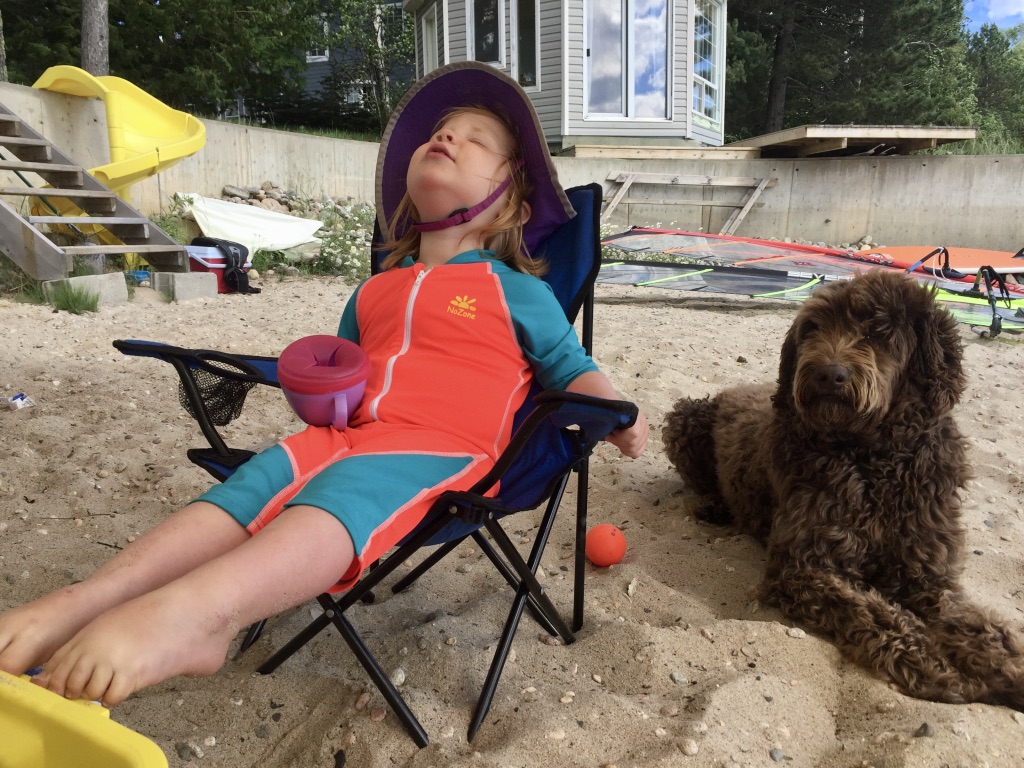 2wEM0q+1QI+ibtIgU8EYJg_thumb_c497