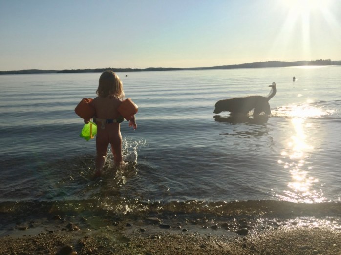 CornYBq6Qe6okewFGqgglA_thumb_c9c9