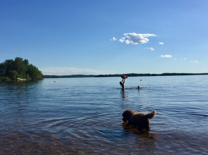 cUmRE63pTSyZ3cP9uWdXbw_thumb_c42b