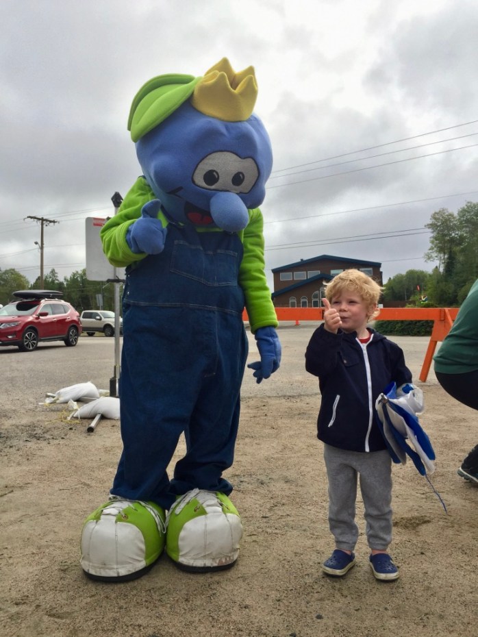 m15yS1CRTlGmVGkOwKiBNQ_thumb_c81b