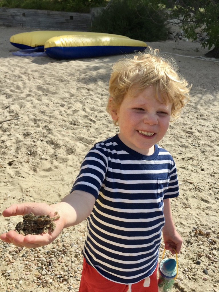 P4NlgC8QSYi6TvkZp1oACg_thumb_c706