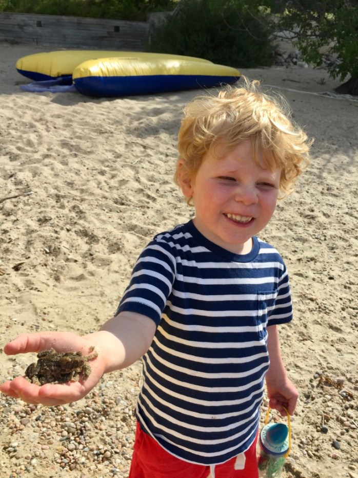 P4NlgC8QSYi6TvkZp1oACg_thumb_c706