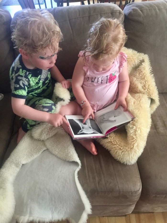 twf+7mLCSS+bdqIADDFiRA_thumb_c3e5