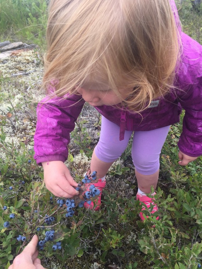 UNADJUSTEDNONRAW_thumb_c6f9