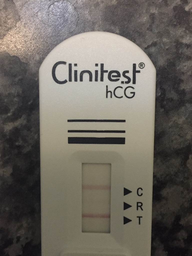 UNADJUSTEDNONRAW_thumb_c330